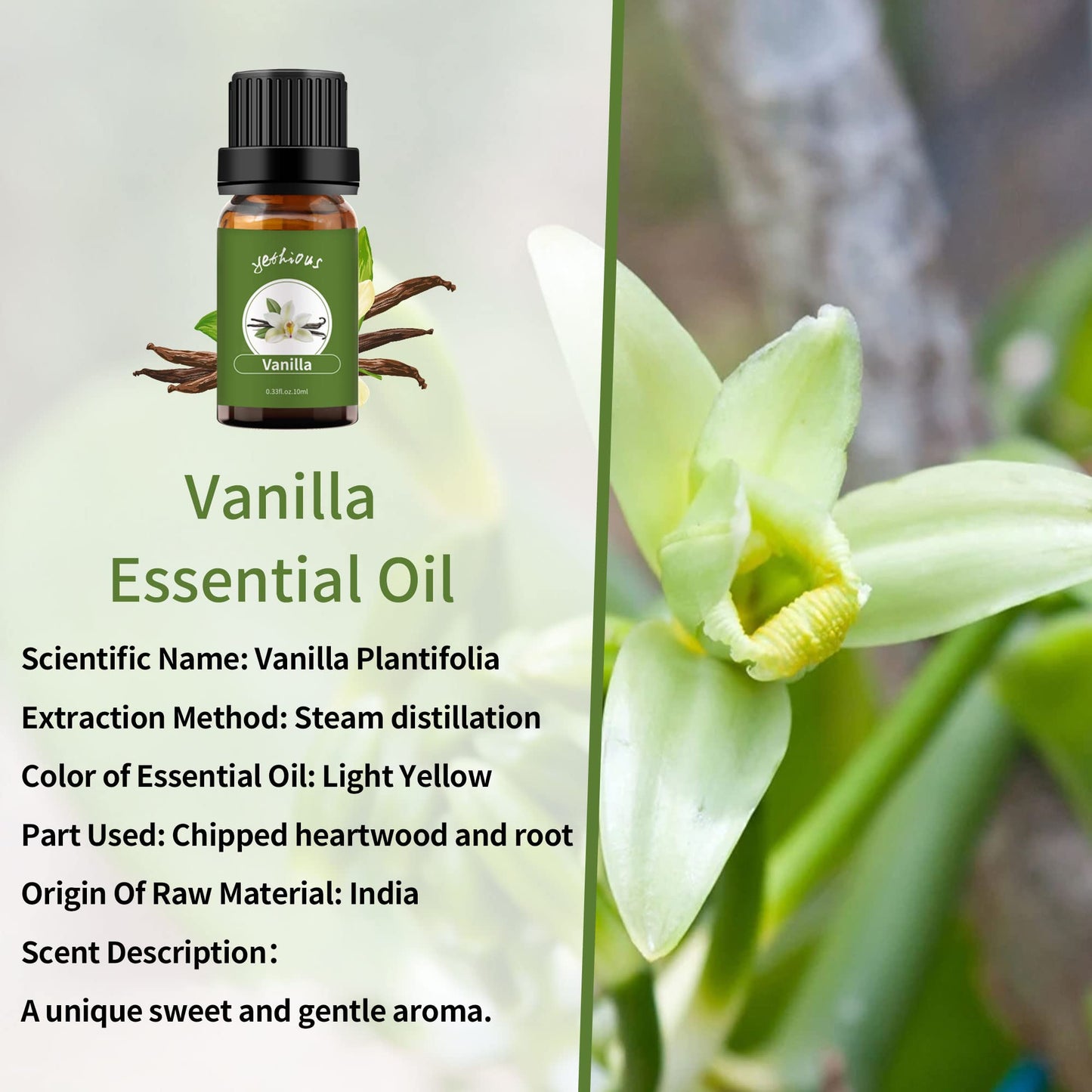 yethious Vanilla & Lavender Essential Oil Set – 2x10ml | 100% Pure