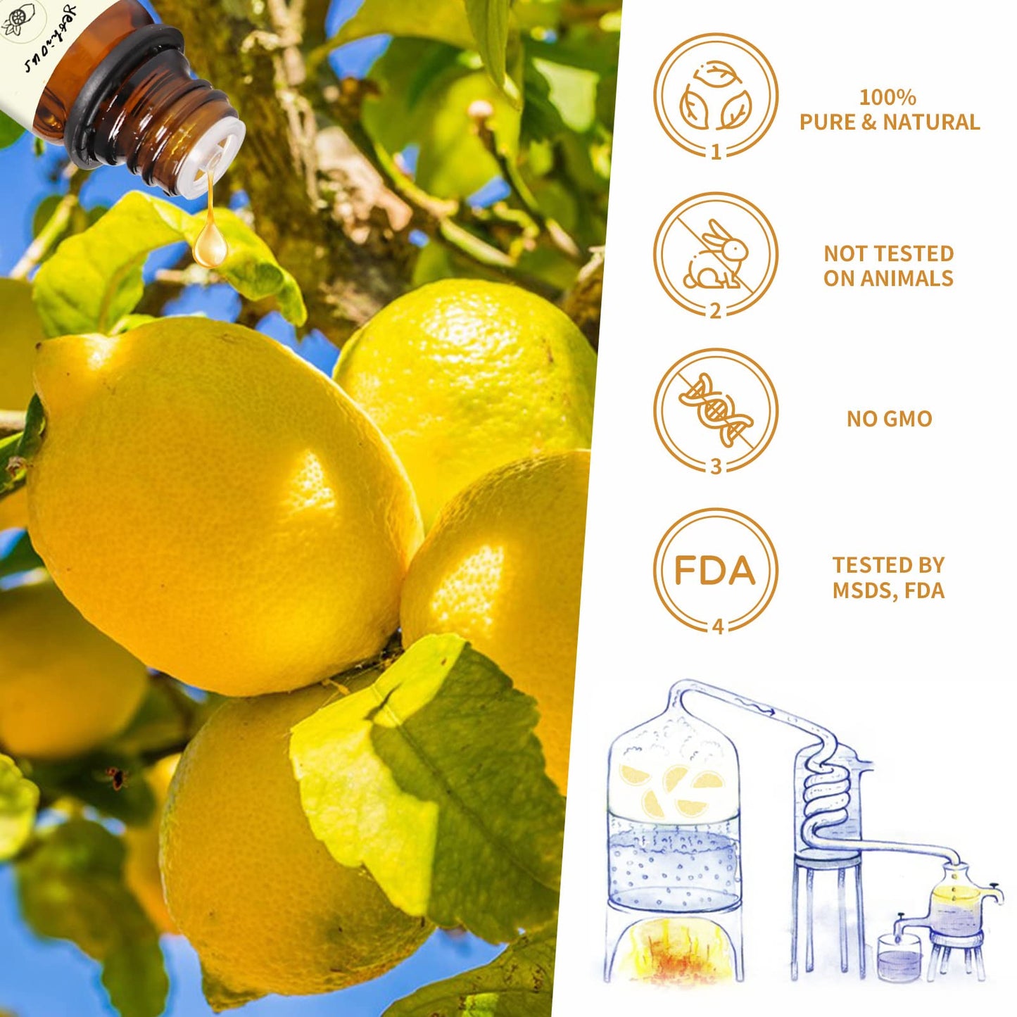 Yethious Lemon Essential Oil 10ml | Pure Lemon Oil for Diffuser & Aromatherapy