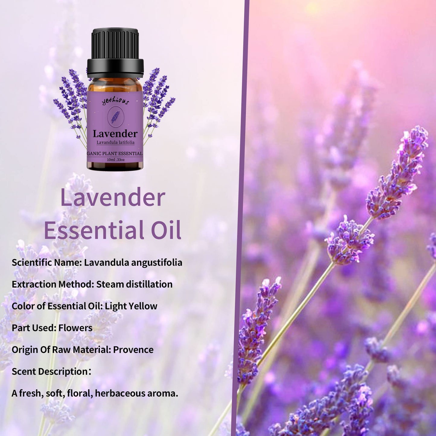 yethious Lavender Eucalyptus Essential Oil – Organic Pure Plant Lavender Oil for Diffuser, Skin & Hair Care