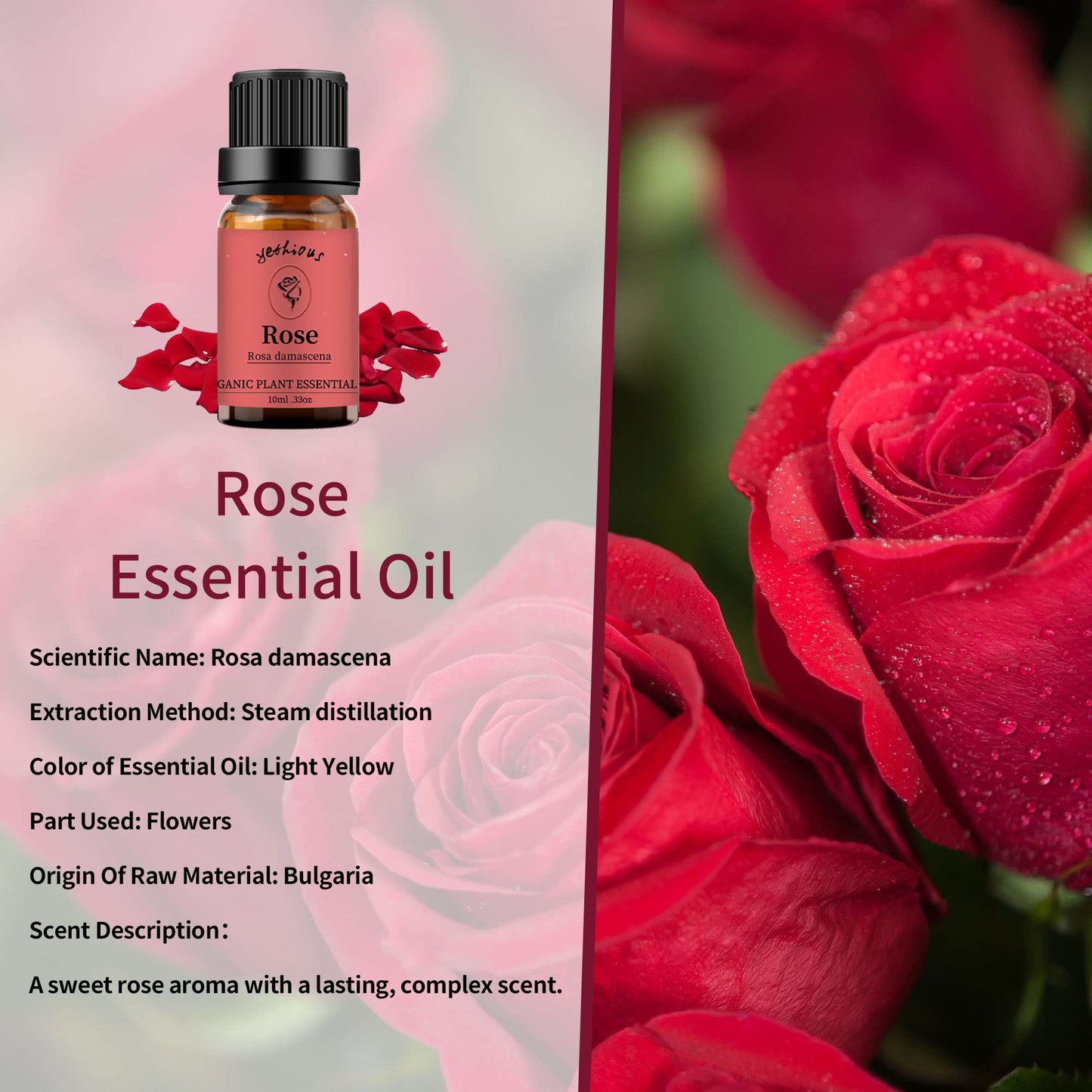 Yethious Rose Jasmine Chamomile Essential Oil Set – 100% Pure Organic, 3 x 10ml for Diffuser, Soap & Candle Making