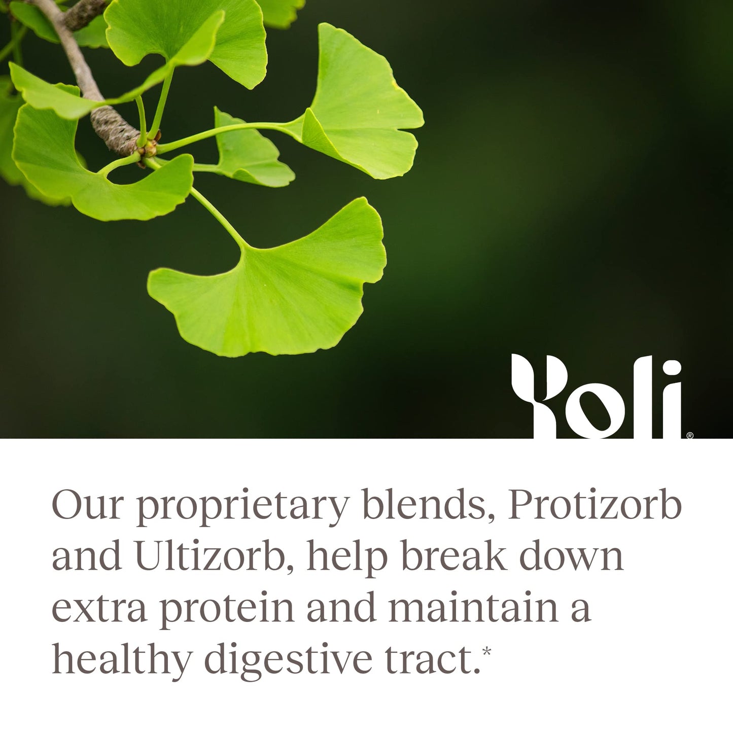 Yoli® Enzyme – Digestive Enzymes & Gut Health Supplement (60 Count)