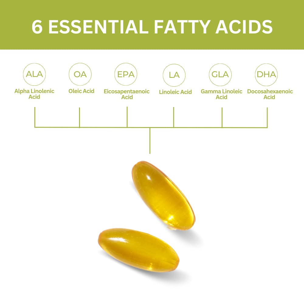 Youngevity EFA Plus 90-4 Pack – Essential Fatty Acids Daily Formula