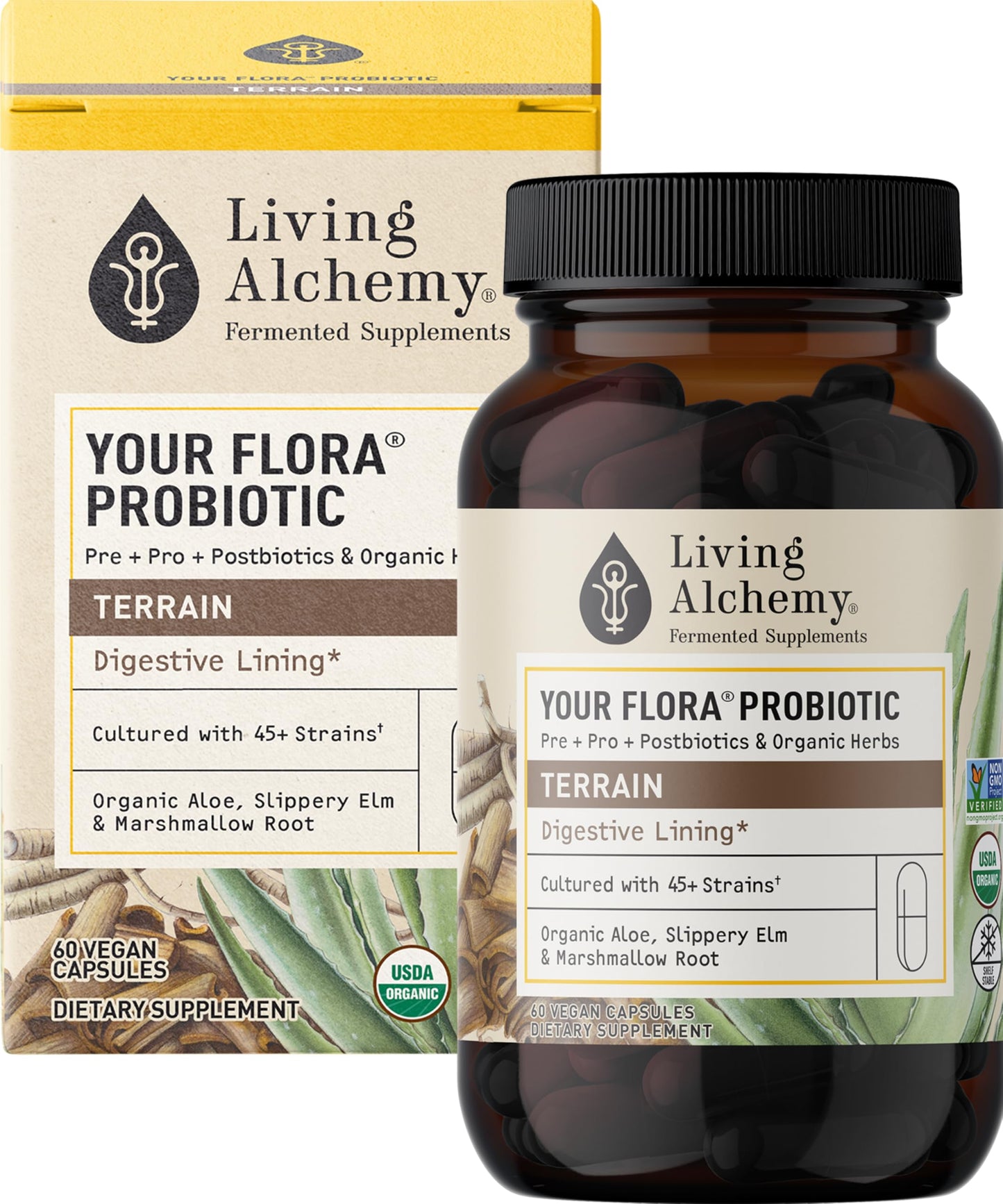 Your Flora Probiotic Terrain – Non-GMO Probiotics with Fermented Soybean, Aloe Vera, & Slippery Elm for Gut Balance & Digestion | Living Alchemy, 60 Pcs