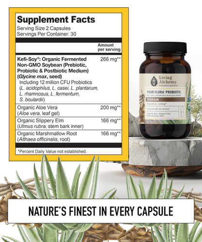 Your Flora Probiotic Terrain – Non-GMO Probiotics with Fermented Soybean, Aloe Vera, & Slippery Elm for Gut Balance & Digestion | Living Alchemy, 60 Pcs