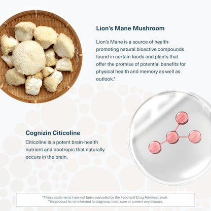 Youtheory Lion’s Mane+ Capsule 90 Vegetarian Capsules – Brain Health & Focus