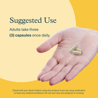 Youtheory Lion’s Mane+ Capsule 90 Vegetarian Capsules – Brain Health & Focus