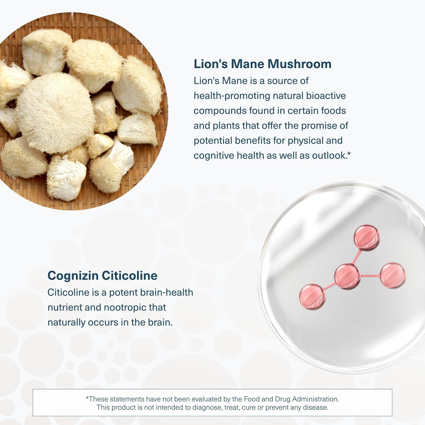 Youtheory Lion's Mane Plus | Cognizin for Focus & Brain Support | 60 Vegetarian Capsules