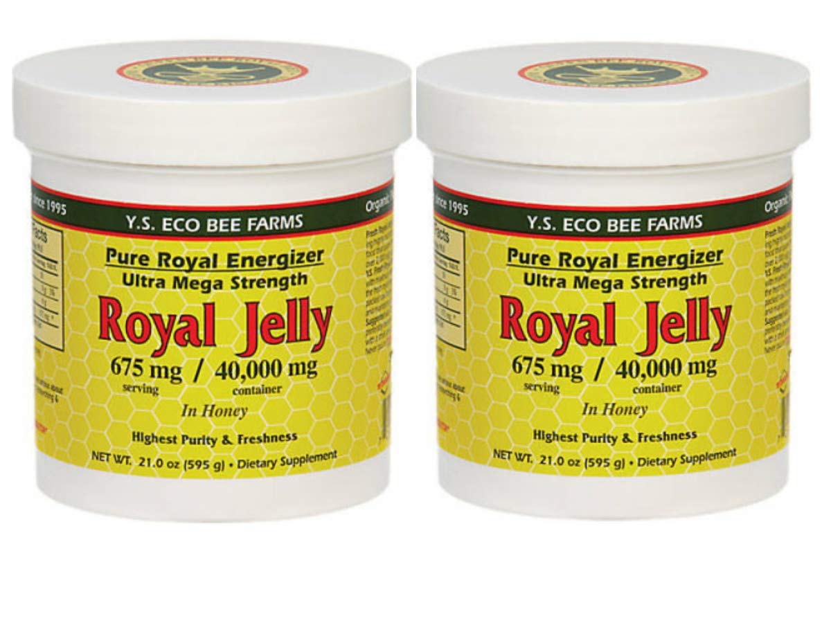 Y.S. Eco Bee Farms (2 Pack) Royal Jelly in Honey – 675 mg | 1.3 lbs (595 g) – Organic Royal Jelly