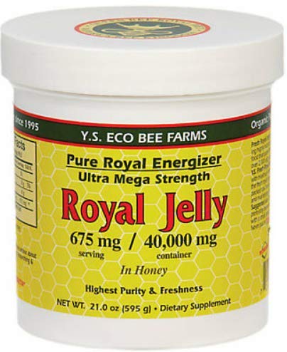 Y.S. Eco Bee Farms (2 Pack) Royal Jelly in Honey – 675 mg | 1.3 lbs (595 g) – Organic Royal Jelly