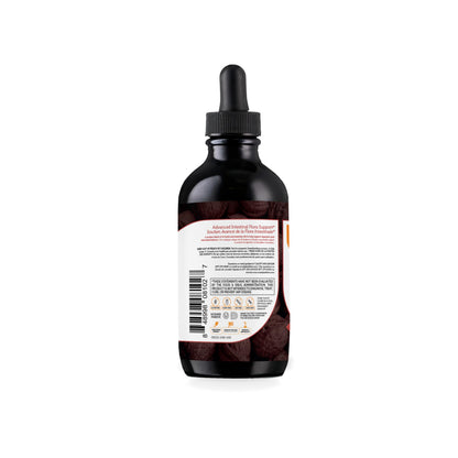 Zahler ParaGuard Liquid Drops – Gut Health Supplement with Wormwood, Garlic, Pumpkin Seed – Kosher (4 oz)