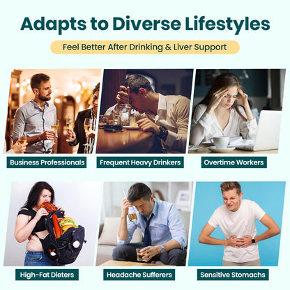 Zaigon Hangover DHM Supplements – Recovery & Liver Support, 240 Capsules