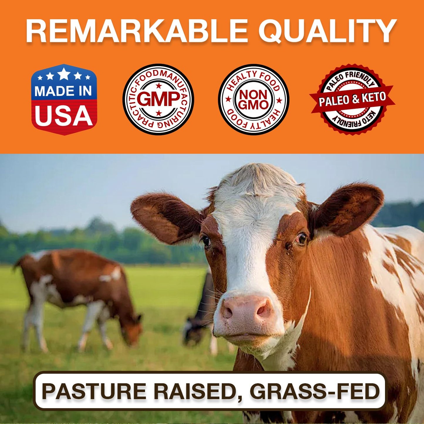 Zammex Pure Grass-Fed Beef Bone Broth Protein Powder – 20g Protein, Collagen, Non-GMO, Gluten Free