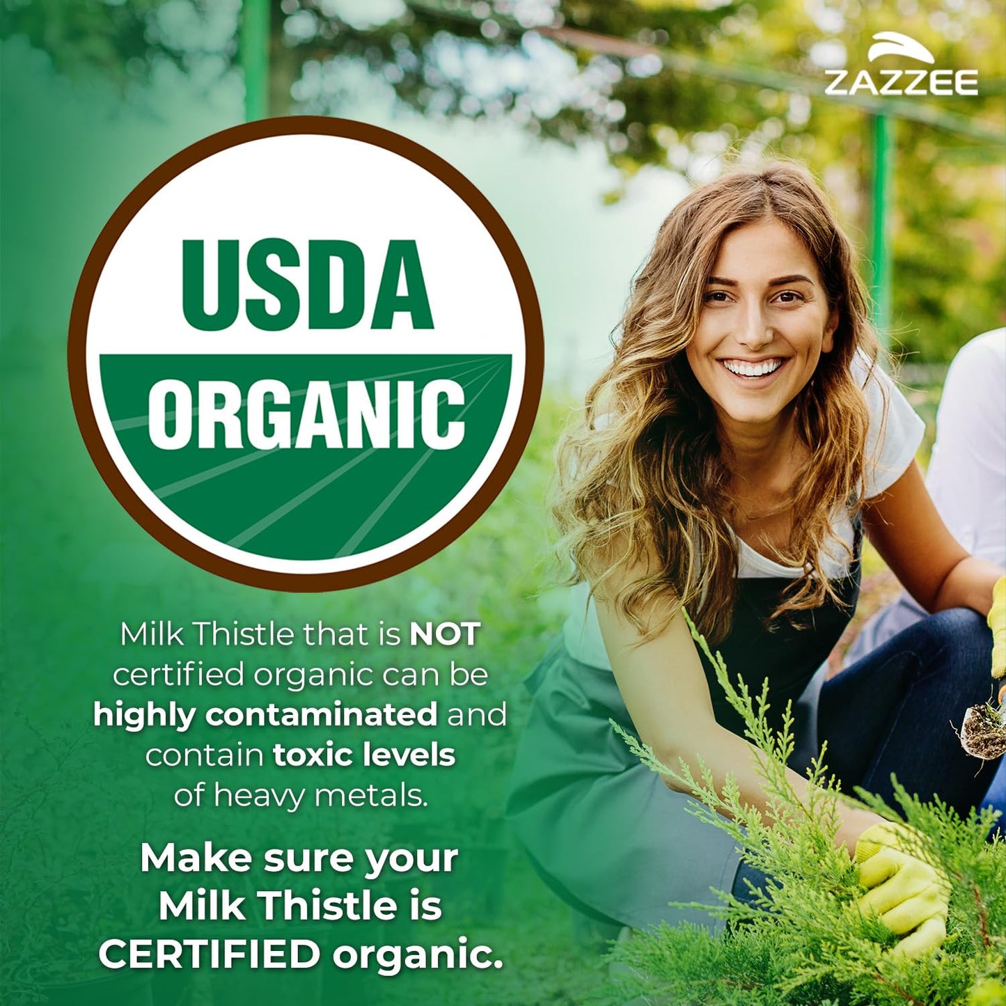 Zazzee USDA Organic Milk Thistle 30:1 Extract – 7500 mg per Capsule, 180 Vegan Capsules, 80% Silymarin, USA Made