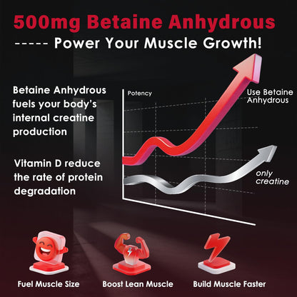 ZEBORA Micronized Creatine Monohydrate Powder – 5G Creatine, 75 Servings