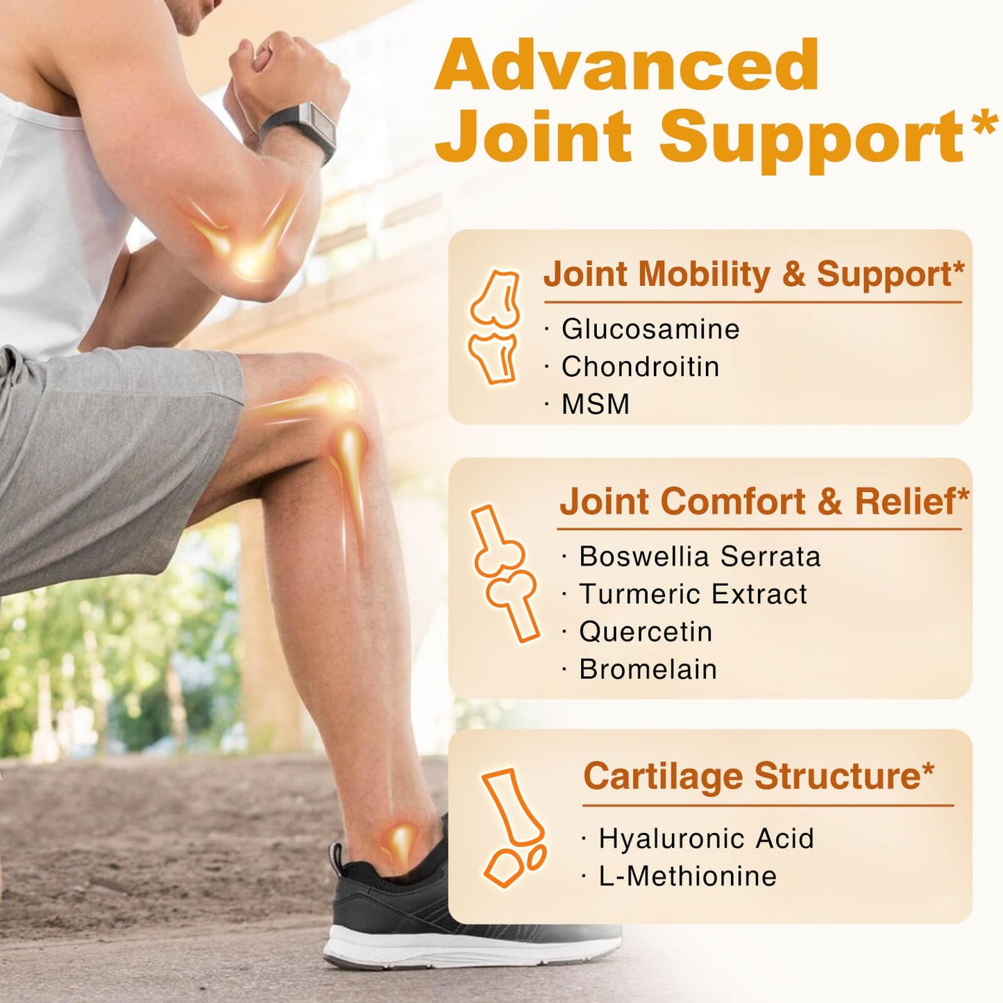 ZEBORA Glucosamine Chondroitin MSM + Turmeric & Boswellia – Joint Support Supplement, 120 Capsules (Pack of 2)