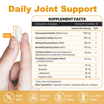 ZEBORA Glucosamine Chondroitin MSM + Turmeric & Boswellia – Joint Support Supplement, 120 Capsules (Pack of 2)