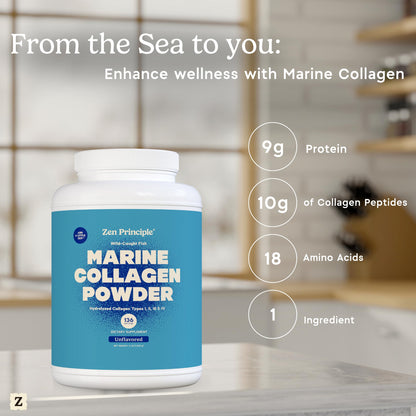 Zen Principle Marine Collagen Peptides – 3lb, Wild-Caught, Non-GMO, Unflavored