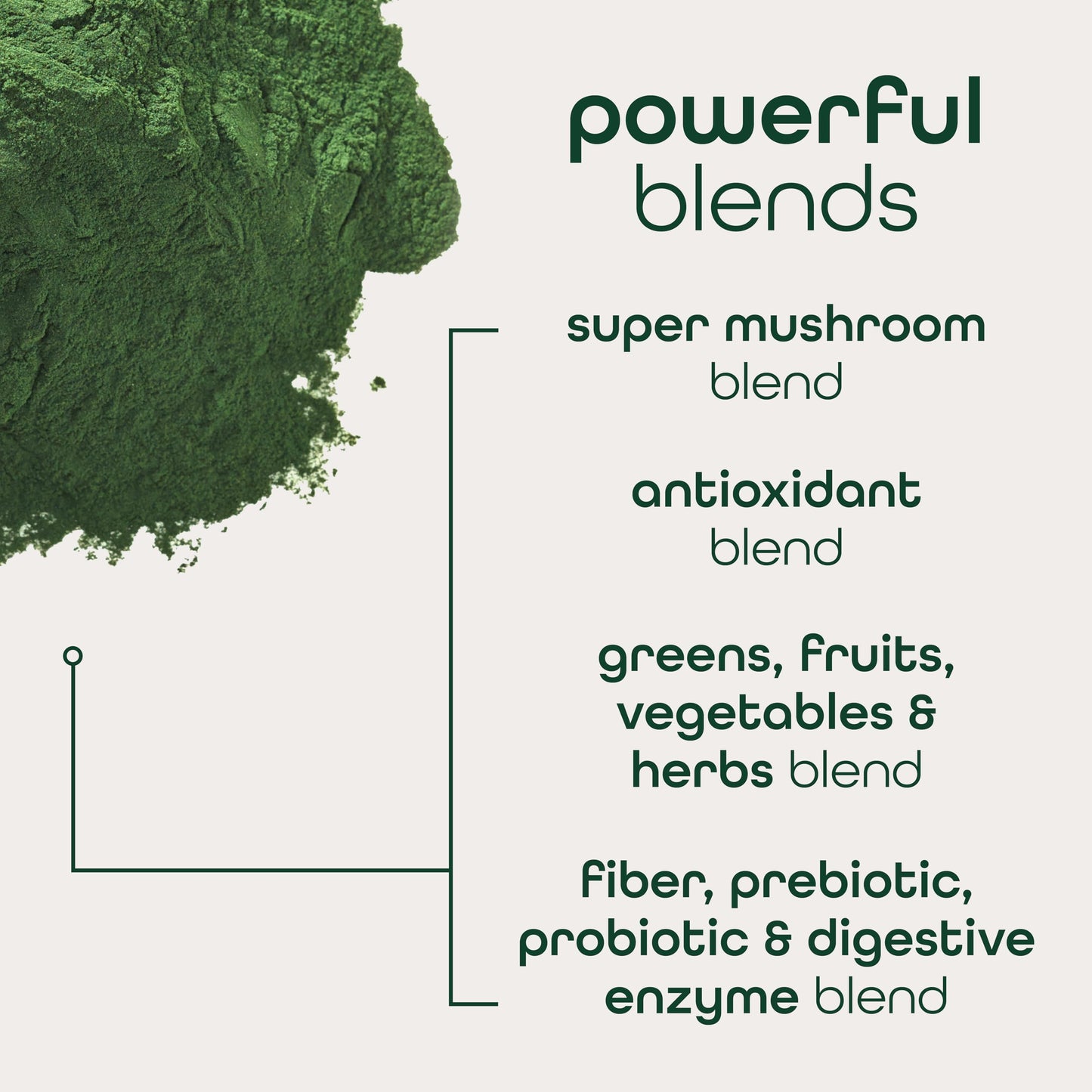 Zena Nutrition Organic Super Greens Powder – 70+ Superfoods, 0 Sugar, 5g Fiber, Mixed Berry, 45 Stick Packets