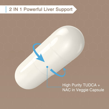 Zingicin TUDCA with NAC 1200mg - 180 Capsules | Liver Support & Antioxidant Formula