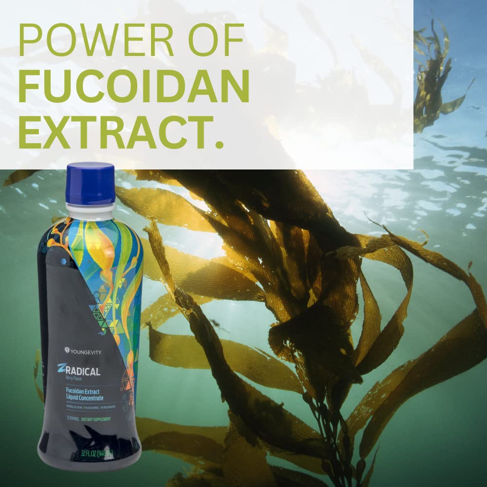 Youngevity ZRadical Fucoidan: Organic Maritech Extract + Cofactors | Immune Support | 32 fl oz x4