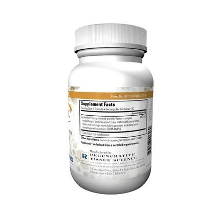 ZYCAL Ostinol Maximum Strength 450mg – Bone & Joint Support | Stem Cell Activation Certified | 30 Capsules