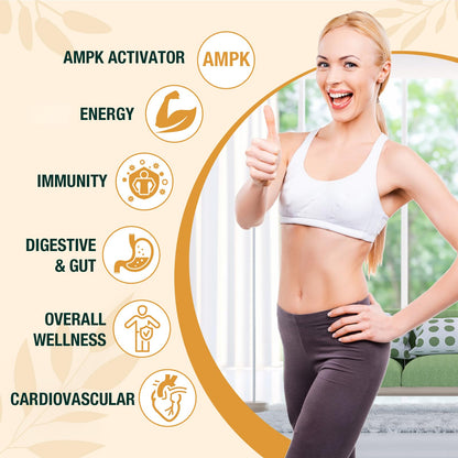 Zypherionixis Liposomal Berberine HCL Drops – 3000mg, 12-in-1 Formula, Sugar Free